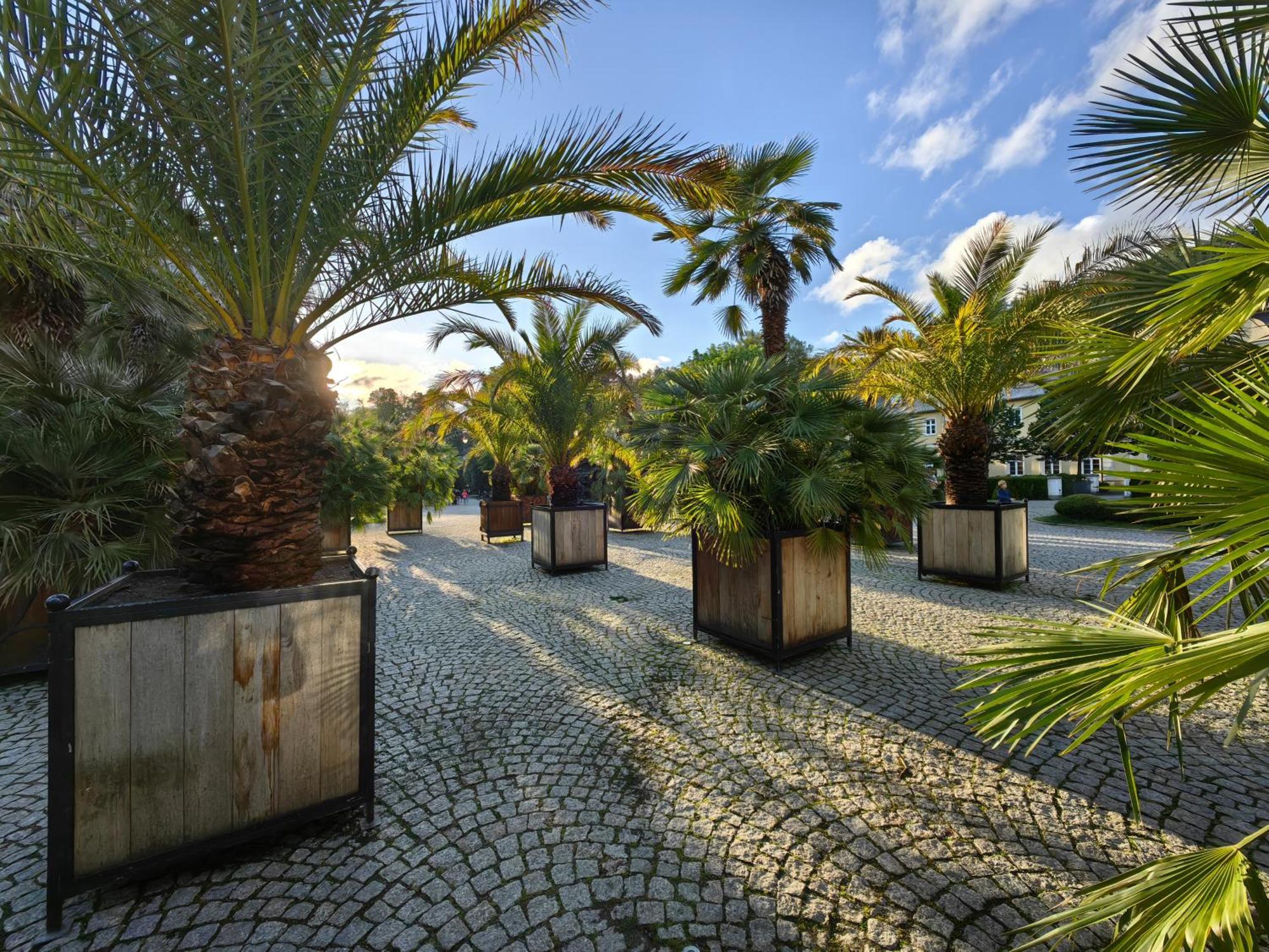 Willa San Remo Kudowa-Zdrój Exterior foto